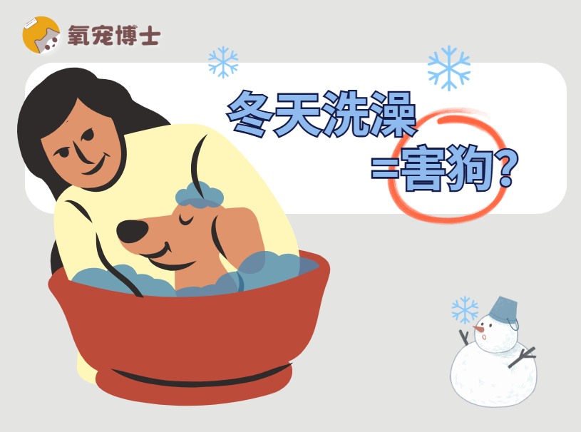 冬天可以给狗狗洗澡吗？