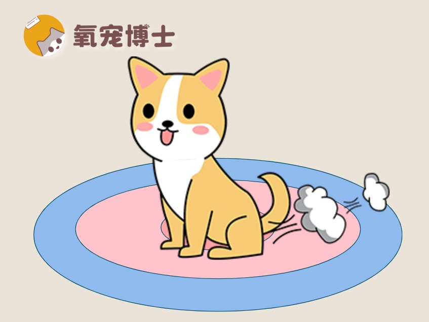 狗狗一直放臭屁是怎么回事？