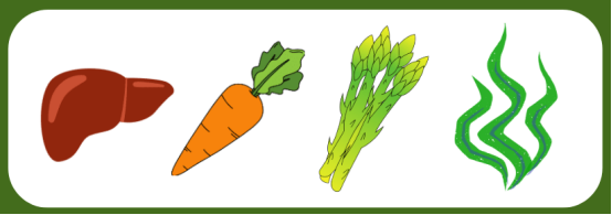 老年犬视力衰退