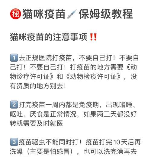 猫咪打完疫苗多久能洗澡？（关于猫咪打完疫苗后洗澡的时间和注意事项）