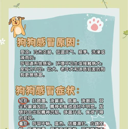 大狗感冒症状解析（了解大狗感冒的症状及预防措施）