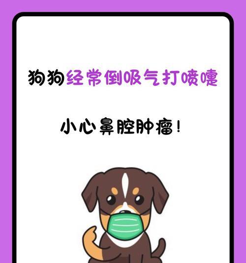 大狗感冒症状解析（了解大狗感冒的症状及预防措施）