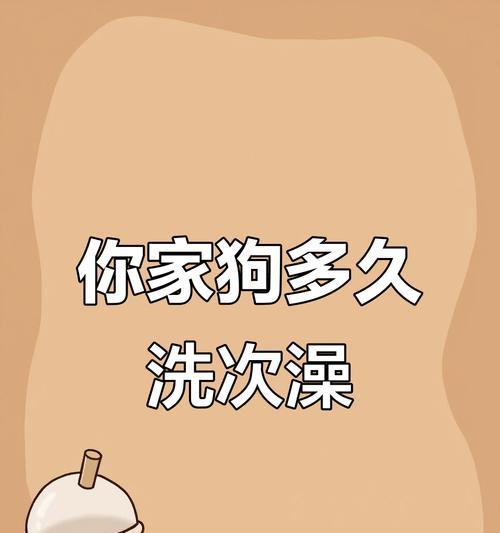 狗狗怀孕多久可以洗澡？（科学护理，守护母犬健康）