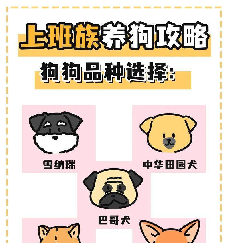 宠物世界的品种选择——你的理想伴侣（了解不同品种的宠物，找到适合自己的伙伴）