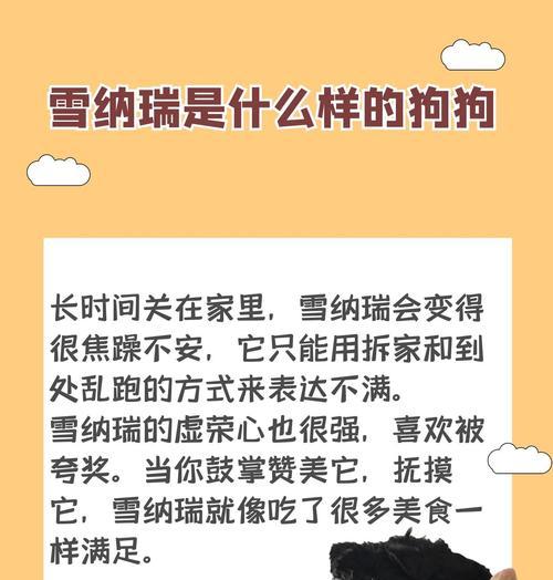 雪纳瑞腿毛的生长周期（揭秘雪纳瑞腿毛生长的时间和因素）