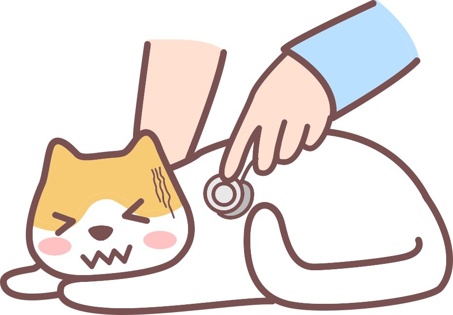 猫粮不能有什么成分？