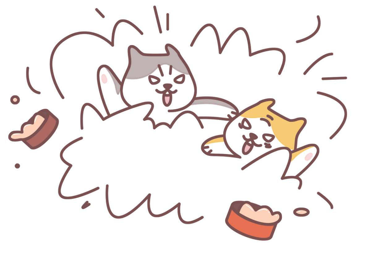 猫粮选膨化粮还是烘焙粮？