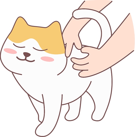 猫咪蒜瓣毛是什么？