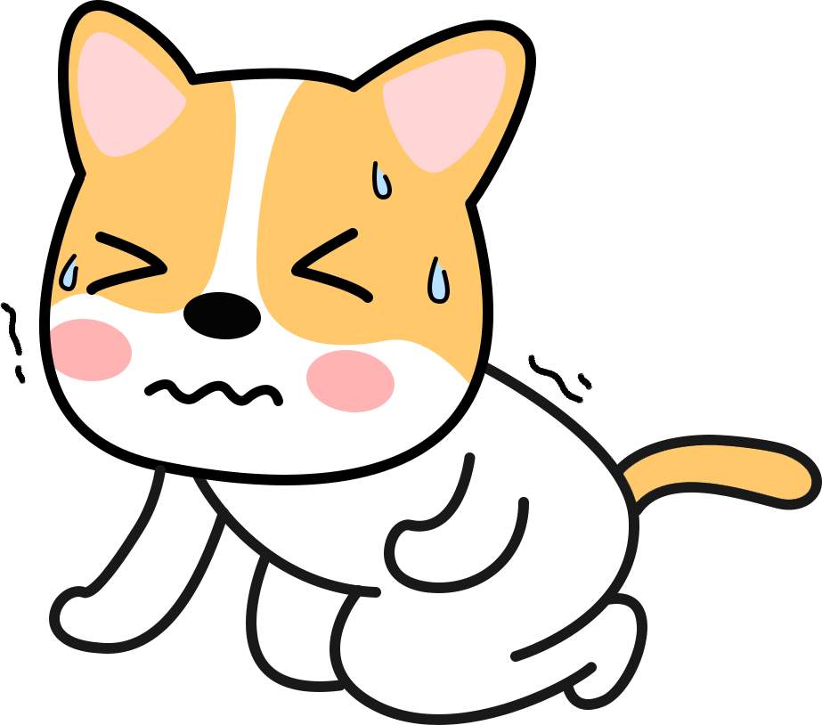 胰腺炎狗狗如何护理？