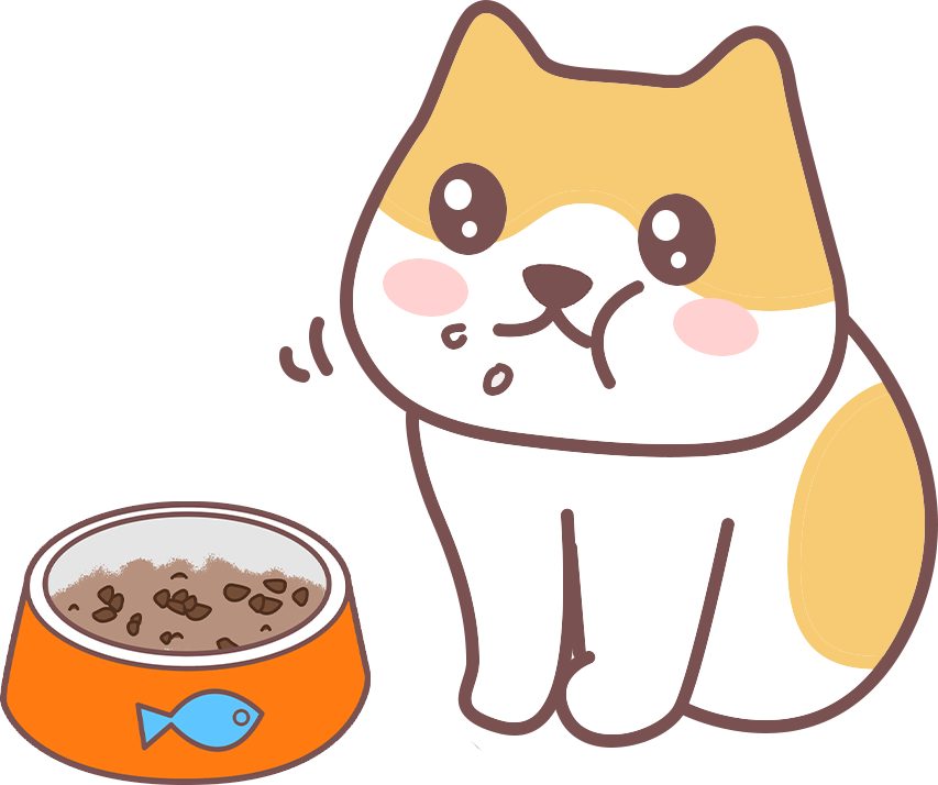 猫咪换粮一定要过渡吗？