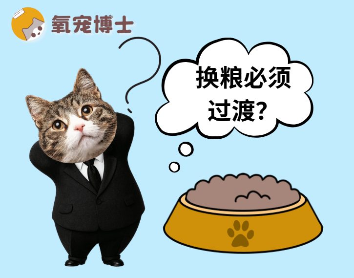 猫咪换粮一定要过渡吗？