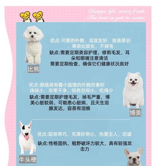 泰迪犬指甲修剪指南（了解适宜的修剪时间和方法，让你的泰迪宠物健康快乐）
