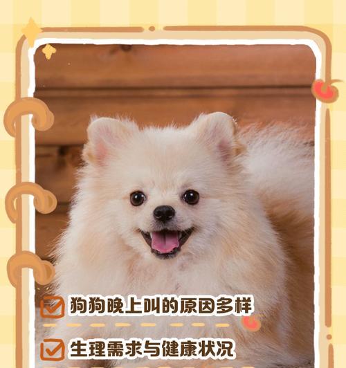 狗狗夜里叫声不止？这是为什么？（探究狗狗夜里叫声不停的原因及如何解决）