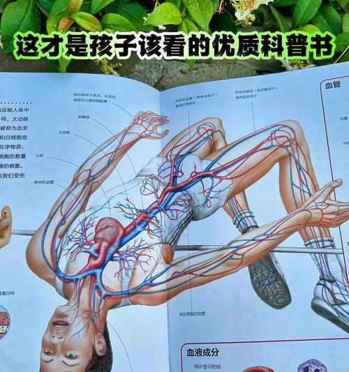 狗狗的水量需求（科普你的狗狗一天所需饮水量及水分摄入的关键）