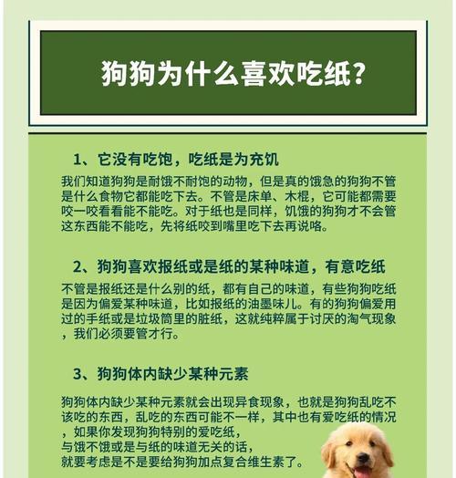 金毛犬公性情转变的时机及原因分析（从幼年到成年）