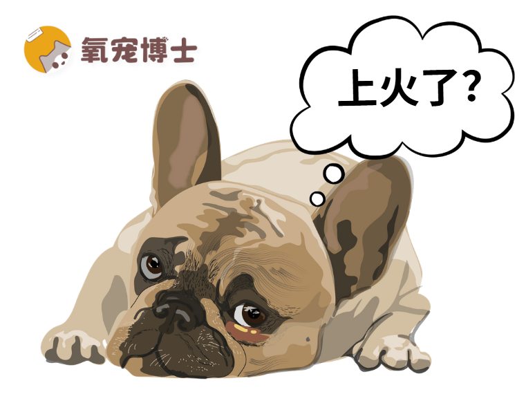 狗狗换粮后眼屎变多怎么回事？