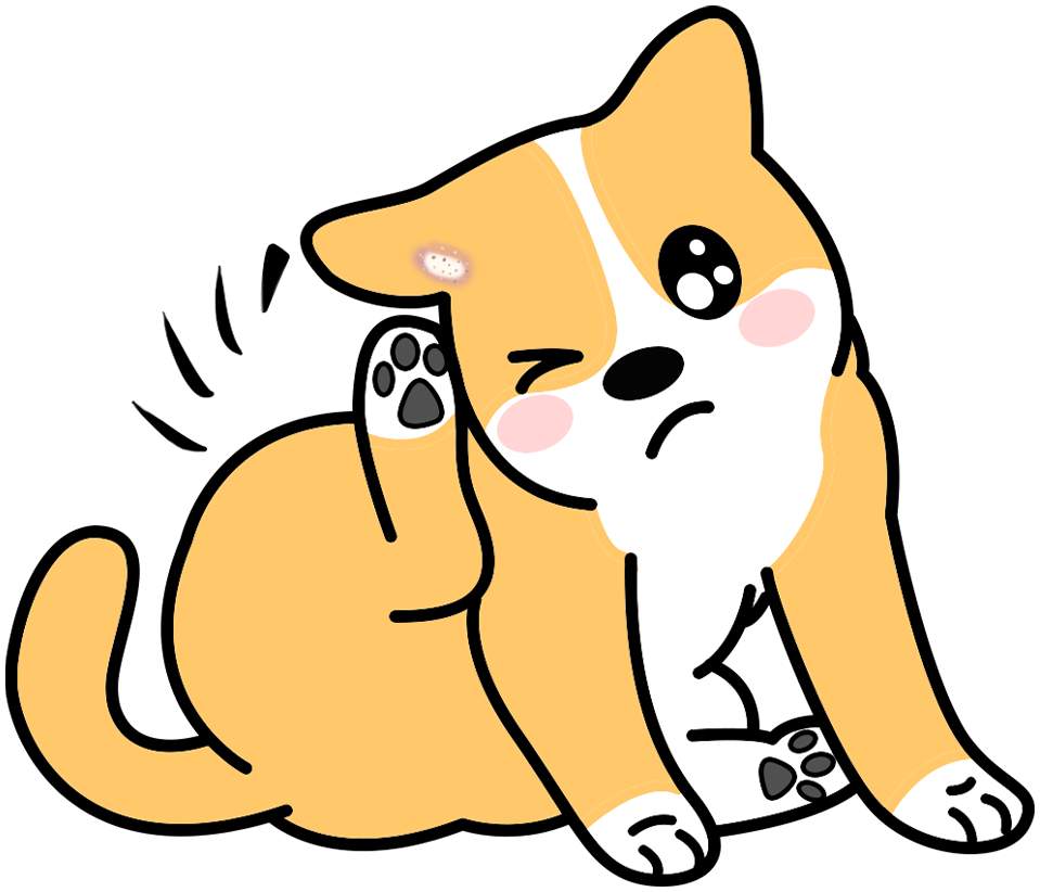 狗狗听力下降怎么办？