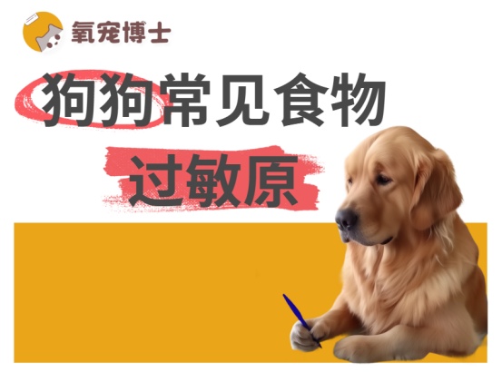 常见的狗狗食物过敏原