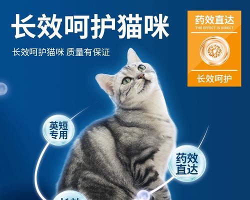 美短驱虫频率解析（了解美短驱虫周期及注意事项，助力宠物健康）