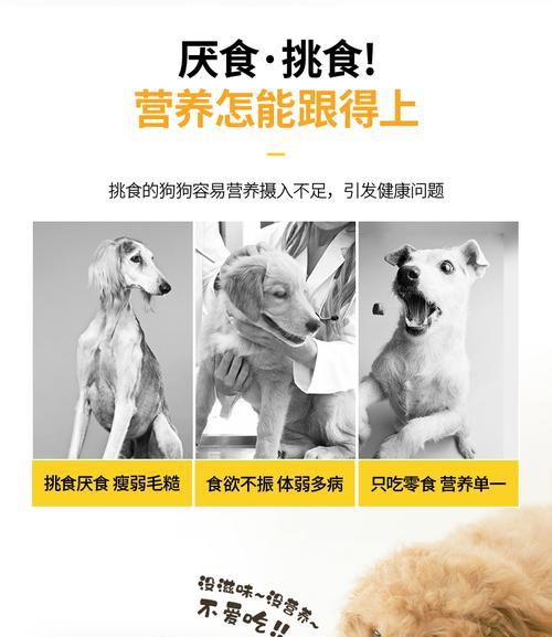 以萨摩耶的狗粮泡多久才合适？（萨摩耶的狗粮泡浸时间的重要性及最佳建议）