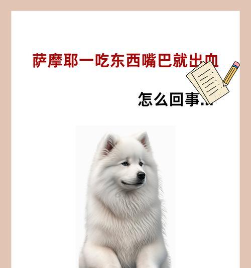 以萨摩耶的狗粮泡多久才合适？（萨摩耶的狗粮泡浸时间的重要性及最佳建议）