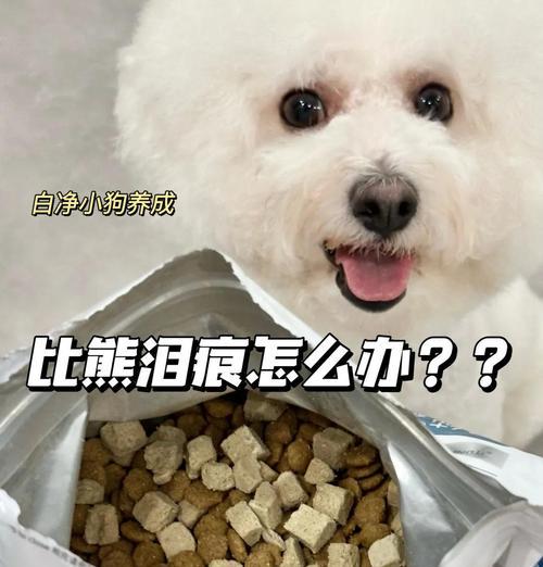 以萨摩耶的狗粮泡多久才合适？（萨摩耶的狗粮泡浸时间的重要性及最佳建议）