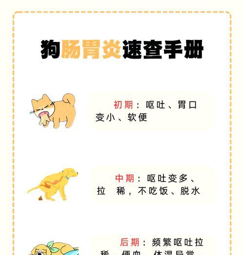 狗肠胃炎恢复期（狗肠胃炎康复过程中适合喝水的时间和方式）