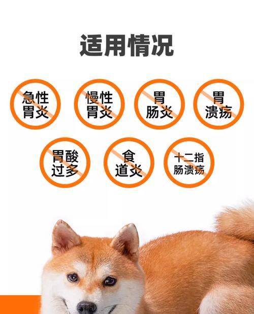 狗肠胃炎恢复期（狗肠胃炎康复过程中适合喝水的时间和方式）