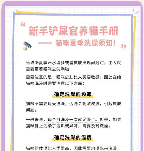 猫咪洗澡的时间和方法（了解猫咪洗澡的最佳时间和正确的洗澡方法）