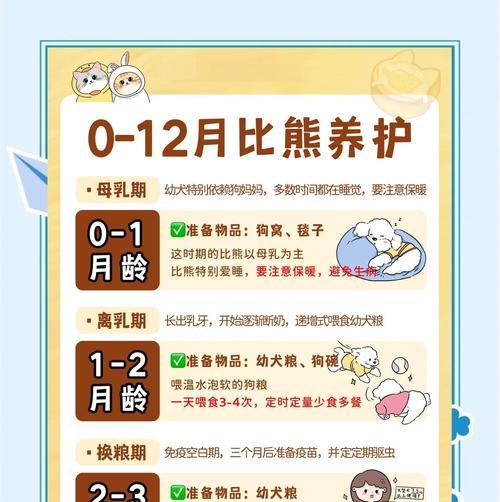 比熊犬的饲养指南（从幼犬到老年犬，如何科学照顾你的比熊宝贝）