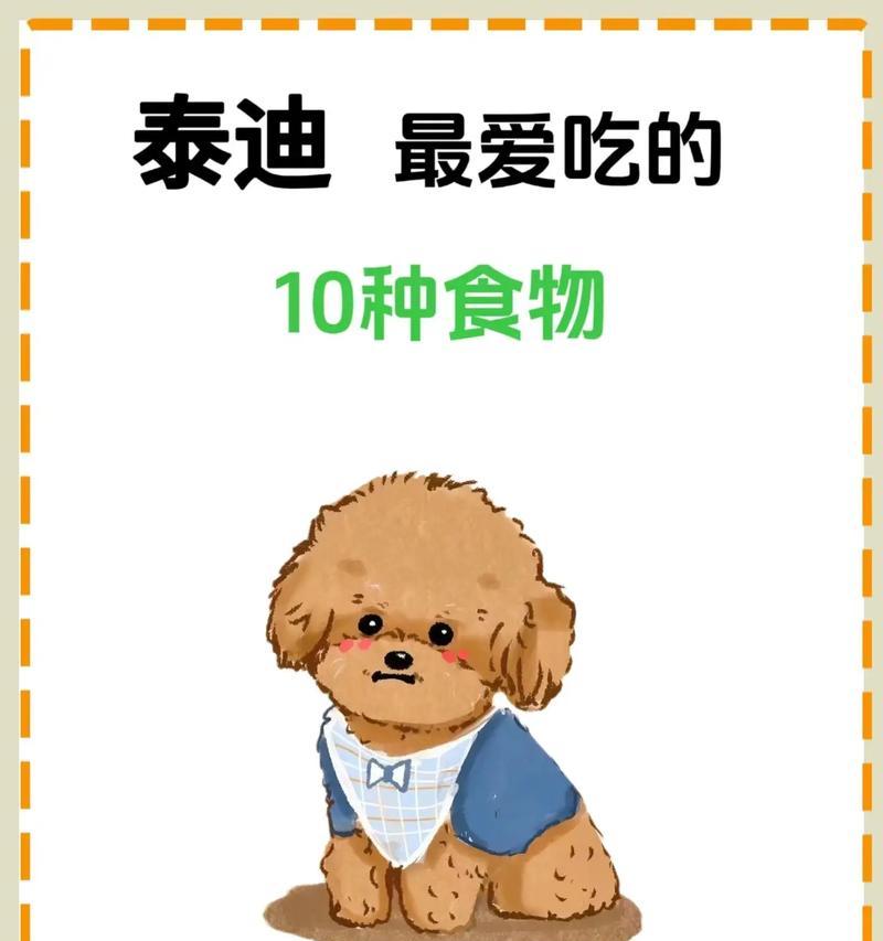三个月泰迪的饮食指南（了解适合三个月泰迪的食物和禁忌）