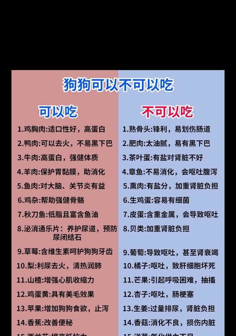 三个月泰迪的饮食指南（了解适合三个月泰迪的食物和禁忌）
