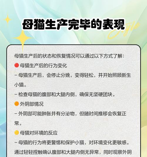 母猫生产的时间和过程（了解母猫生产的时间和过程，帮助您关心和照顾猫咪健康）