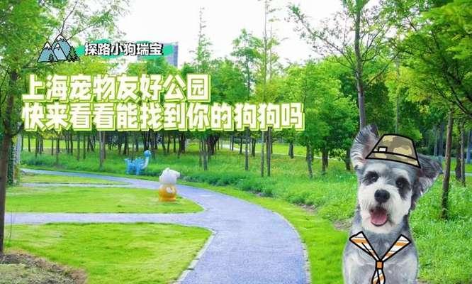 上海公园遛狗好去处推荐（探索上海城市中的狗友乐园，与爱宠共享美好时光）