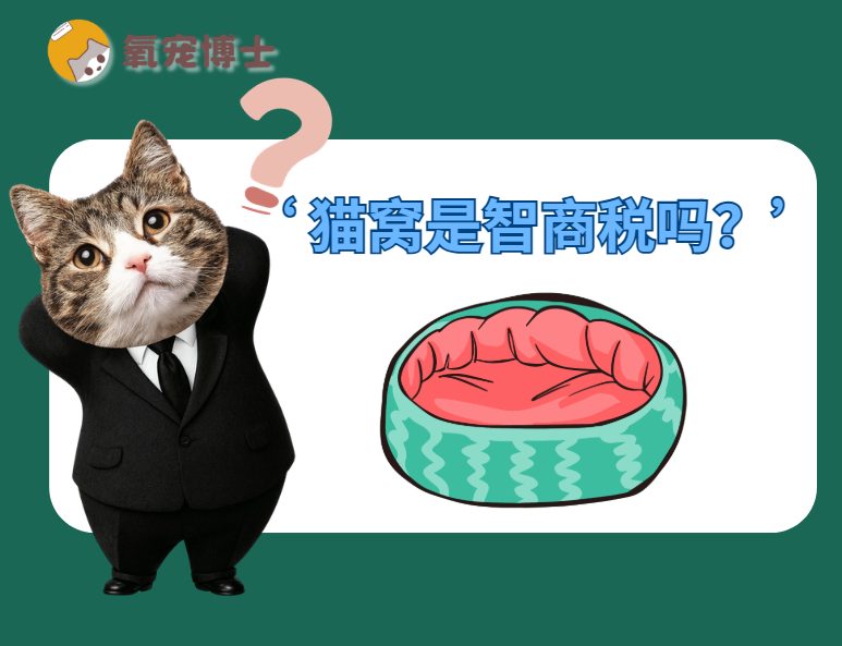 猫窝是智商税吗？