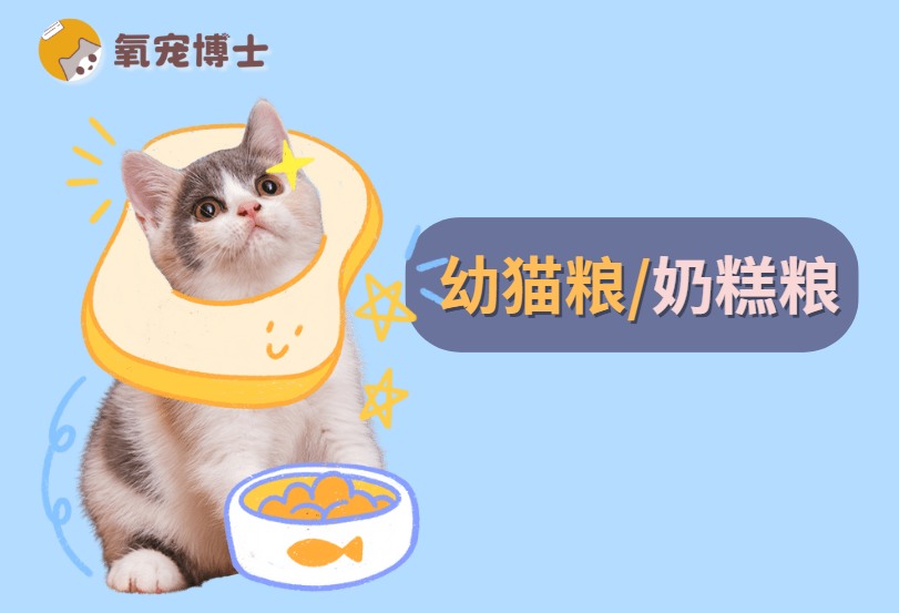 奶糕粮和幼猫粮有什么区别？