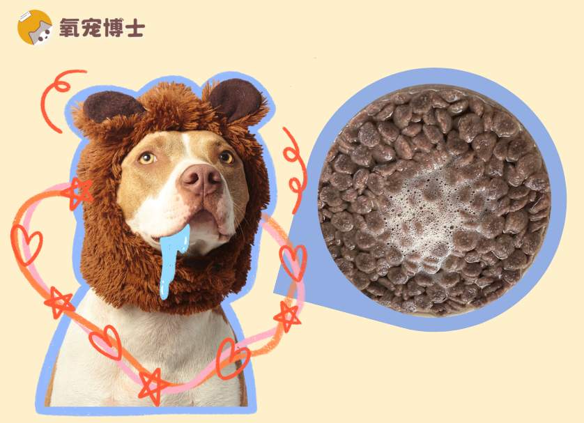 狗粮泡水喂到底好不好？