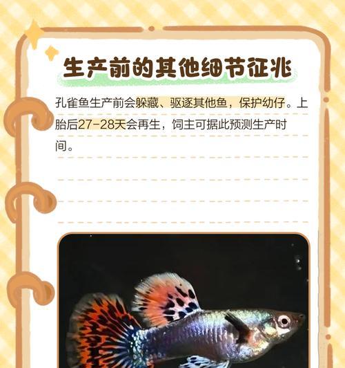孔雀鱼的繁殖周期（孔雀鱼产卵的时间和方式）