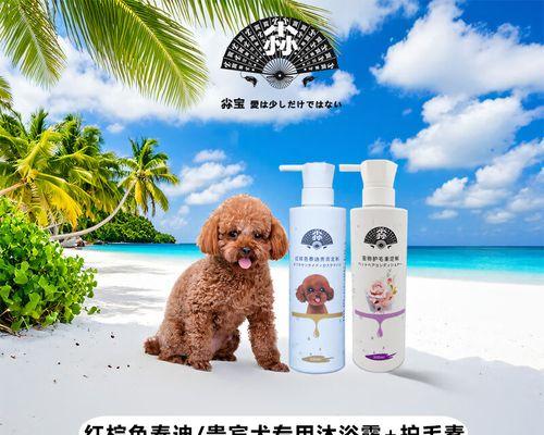 贵宾洗澡时间的合理安排（掌握贵宾洗澡频率，让毛发更健康）