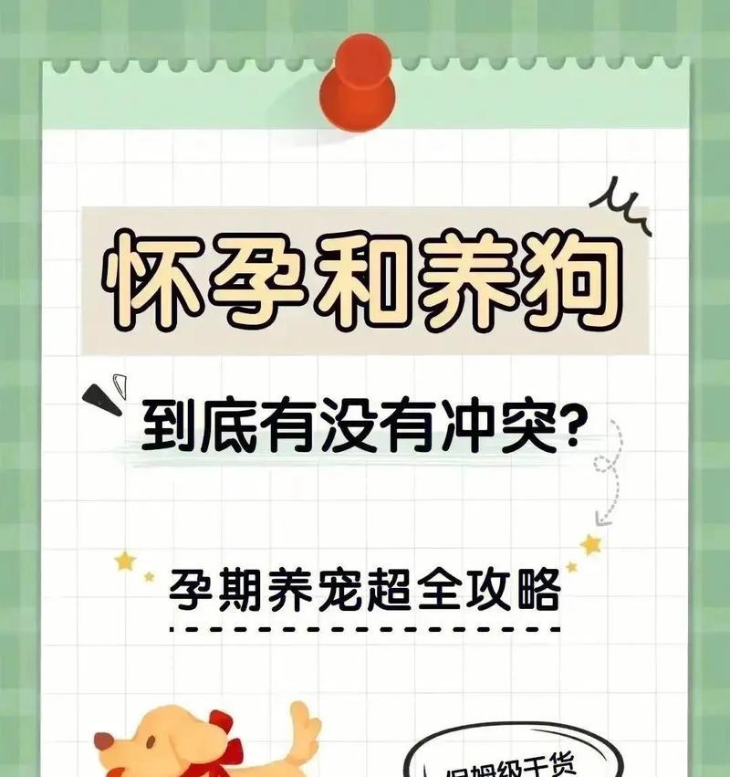 狗的怀孕周期及生产时间（从配种到分娩，了解狗的繁殖过程）