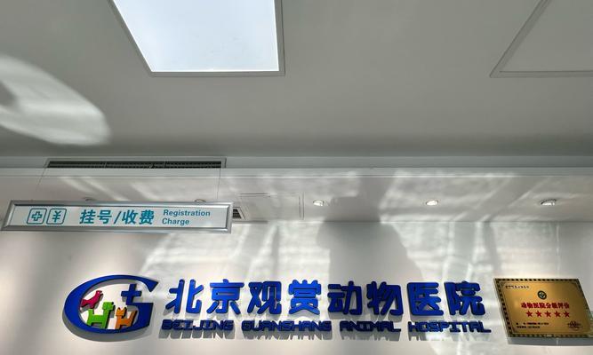 猫咪的生理指标（揭秘猫咪的身体状况与保健秘籍）