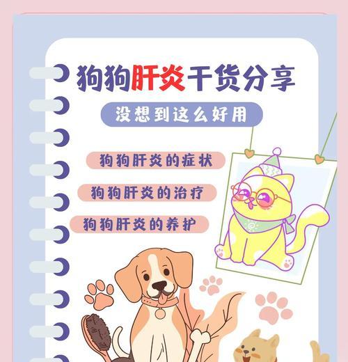 狗狗肝炎的症状及预防措施（了解狗狗肝炎的常见症状，保护它们的健康）
