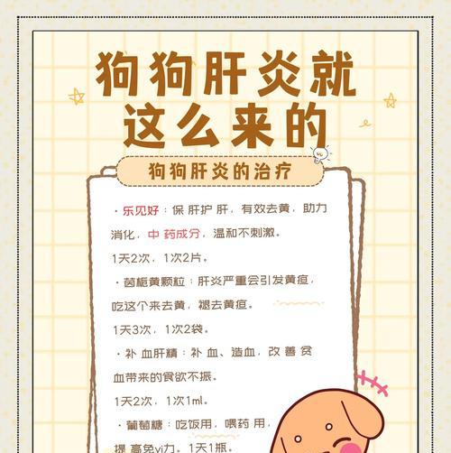 狗狗肝炎的症状及预防措施（了解狗狗肝炎的常见症状，保护它们的健康）