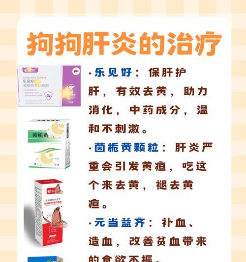狗狗肝炎的症状及预防措施（了解狗狗肝炎的常见症状，保护它们的健康）