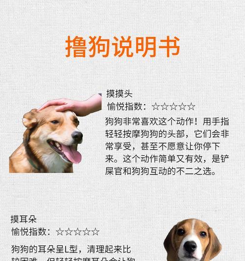 以撸狗的正确姿势是什么？（高超的抚摸技巧让它爱上你）