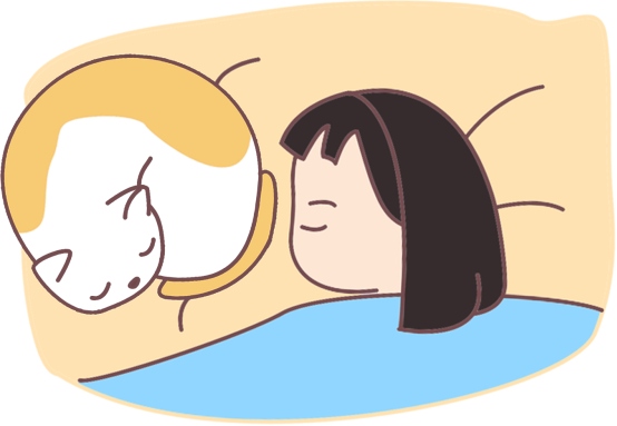 猫咪为什么爱喝洗脚水