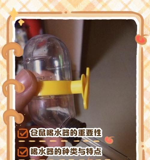 仓鼠饮水需求与脱水判断方法｜科学养护全攻略