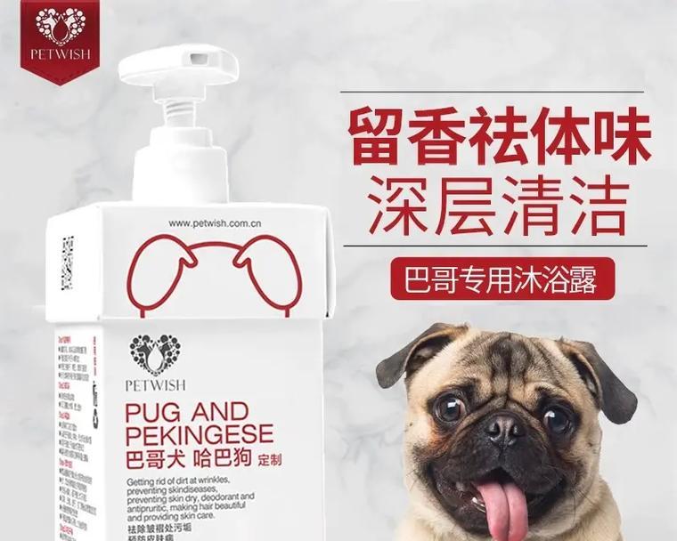 夏天巴哥犬洗澡的最佳频率（为你的巴哥犬提供清爽的夏日护理）