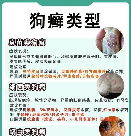 狗狗身上的癣能够在多久的时间内痊愈？（狗狗癣症疗程及治疗方法解析）