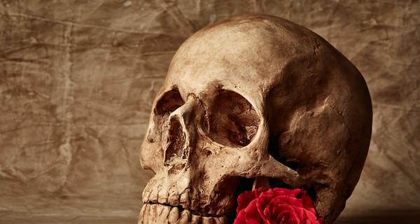 狗死后身体僵硬的时间及原因（揭秘狗死后身体僵硬的奥秘）